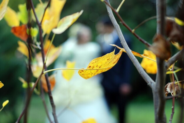 Das frisch verheiratete Paar im herbstlichen Park