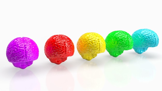 Das Gehirn mehrfarbig auf weißem Hintergrund für kreatives Konzept 3D-Rendering