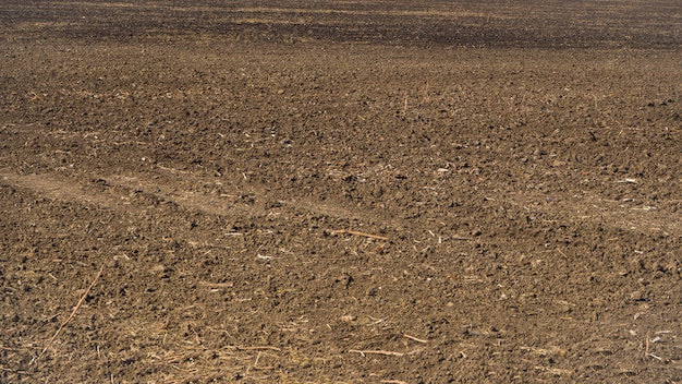 Foto das gesäte feld der erde bis zum horizont.