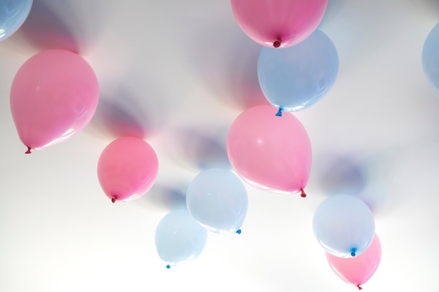 Das Geschlecht enthüllt blaue und rosa Ballons der Party im Wohnzimmer auf der weißen Wanddefinition eines Jungen oder Mädchens