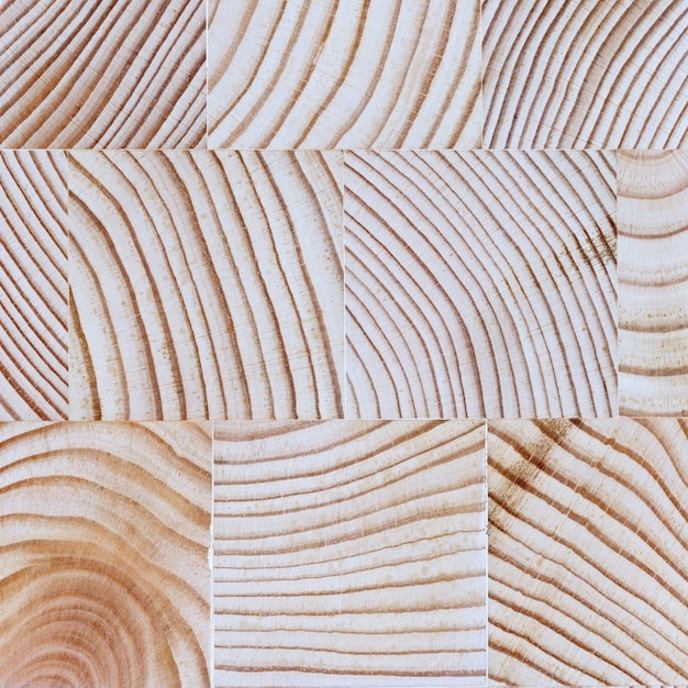 Das geschnittene Holz mit der Textur und den Jahresringen.