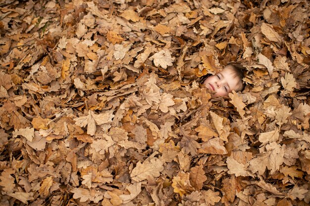 Das Gesicht des Jungen zwischen Herbstlaub