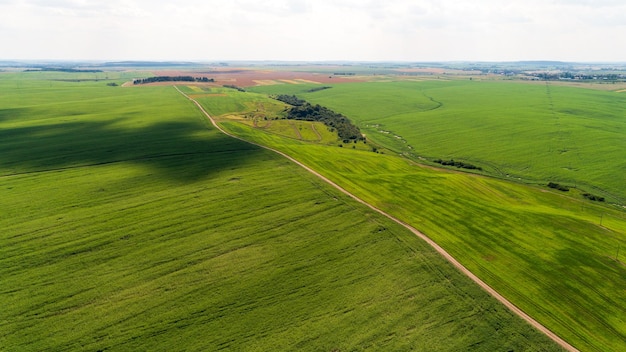 Das grüne Feld ist bei Sonnenuntergang mit der Drohnenansicht von oben aufgenommen