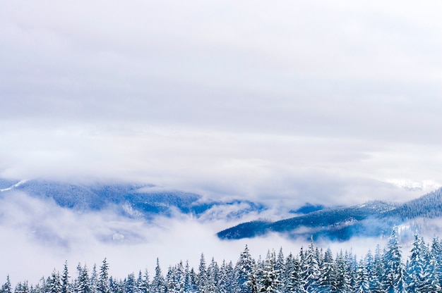 Das Hochland im Winter ist schneebedeckt.