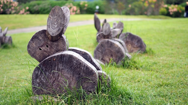 Das Holz wird auf die gewünschte Form getrimmt. Kaninchen sind aus Holz auf Gras gemacht.