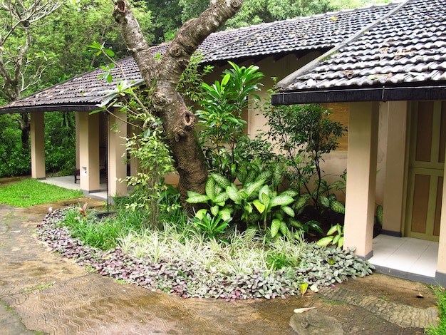 Das Hotel in Sigiriya, Sri Lanka