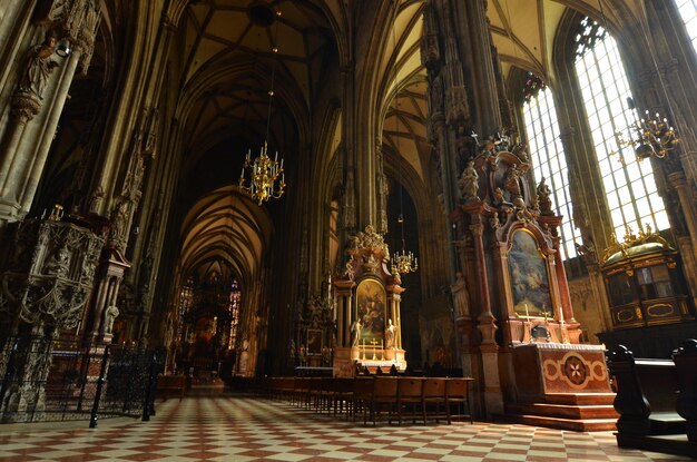 Foto das innere der st. stephen-kathedrale