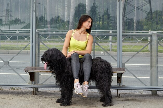 Das junge Mädchen legte ihre Beine auf schwarzen Briard, während es auf der öffentlichen Verkehrsstation saß und auf Bus wartete.