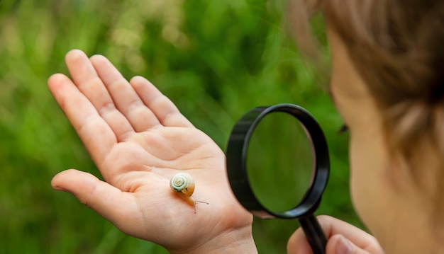 Das Kind betrachtet die Schnecke durch eine Lupe. Selektiver Fokus. Natur.