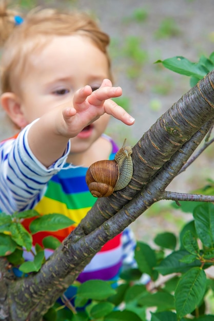 Das Kind betrachtet die Schnecke Selektiver Fokus