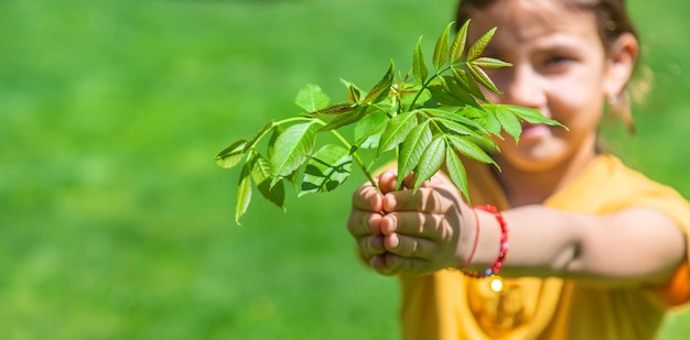 Das Kind hält einen Baum in seinen Händen Selektiver Fokus