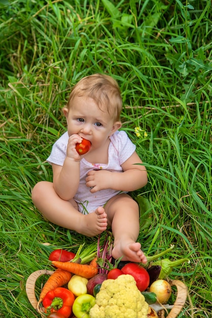 Das Kind hält Gemüse in den Händen. Selektiver Fokus. Kind.