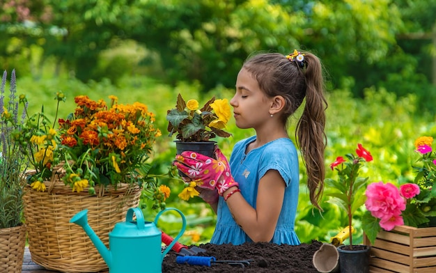 Das Kind pflanzt Blumen im Garten Selektiver Fokus