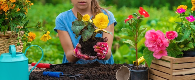 Das Kind pflanzt Blumen im Garten Selektiver Fokus