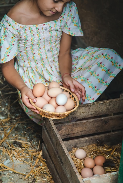 Das Kind sammelt die Eier im Hühnerstall ein. Selektiver Fokus. Kind.