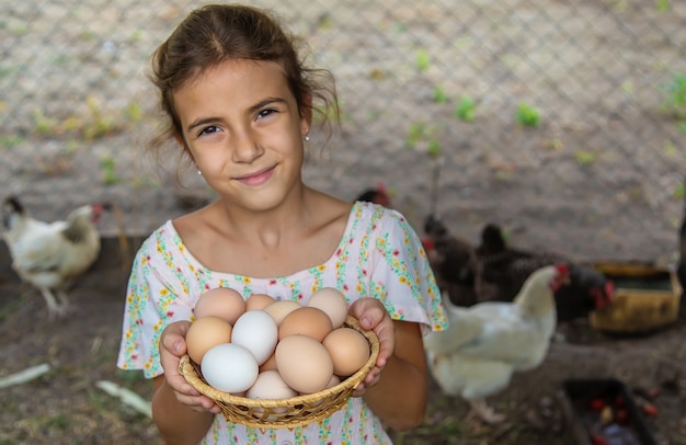 Das Kind sammelt die Eier im Hühnerstall ein. Selektiver Fokus. Kind.