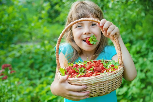 Das Kind sammelt Erdbeeren im Garten. Tiefenschärfe.