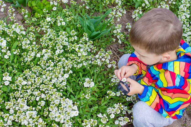 Das Kind schaut durch eine Lupe auf die Blumen Zoom in