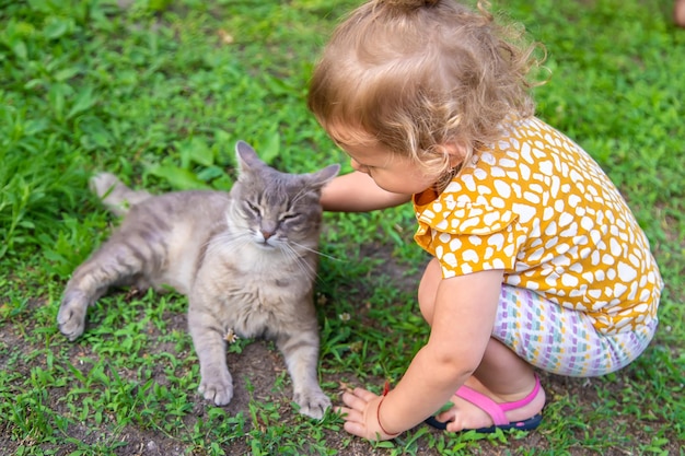 Das Kind spielt mit der Katze Selektiver Fokus