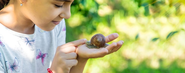 Das Kind untersucht die Schnecken auf dem Baum Selektiver Fokus