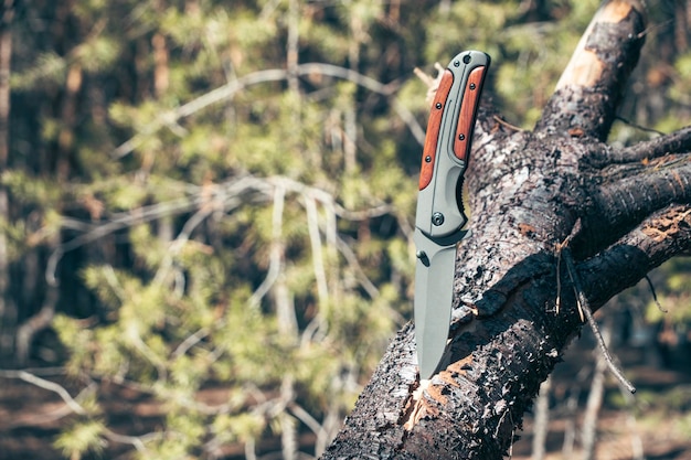 Das Klappmesser zum Überleben steckt in einem umgestürzten Baumstamm vor dem Wald im Hintergrund