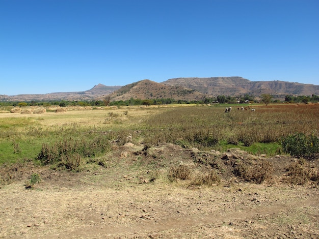 Das kleine Dorf in Äthiopien, Afrika