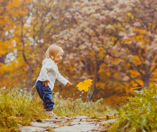 Das kleine Kind mit einem Ahornblatt spaziert im Herbstpark