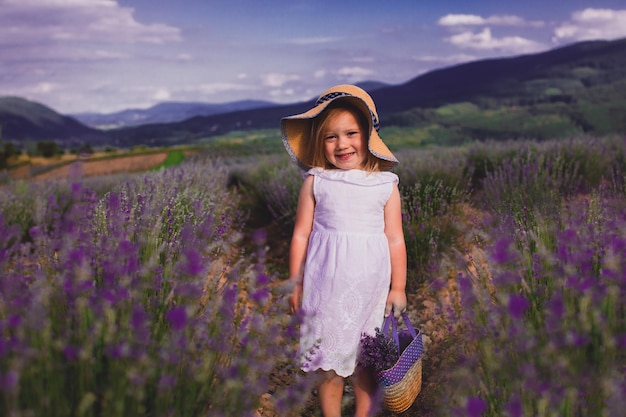 Das kleine Mädchen sammelt Blumen auf einem Lavendelfeld