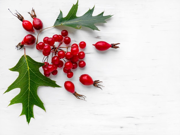 Das Konzept der Herbsteichenblätter und -eicheln auf einem weißen gealterten Hintergrundkopienraum