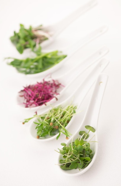 Das Konzept einer gesunden Ernährung der Anbau von Microgreens, rotem Amaranth, Senf, Rucola, Erbsen, Koriander in weißen Löffeln auf weißem Hintergrund