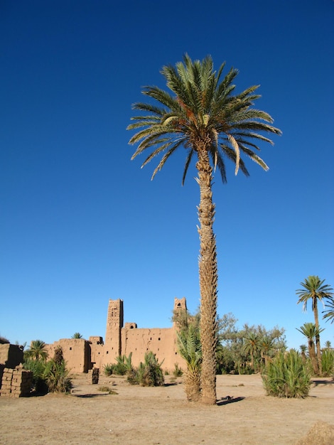 Das Ksar Berberhaus Ouarzazate Marokko