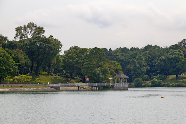 Das MacRitchie-Stausee in Singapur