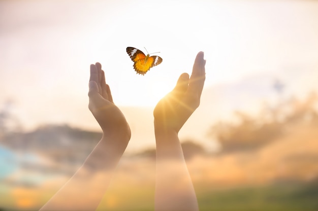 Das Mädchen befreit den Schmetterling vom Moment Konzept der Freiheit