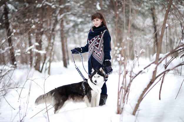 Das Mädchen geht mit Hund Siberian Husky in einem Winter schneebedeckten Wald.