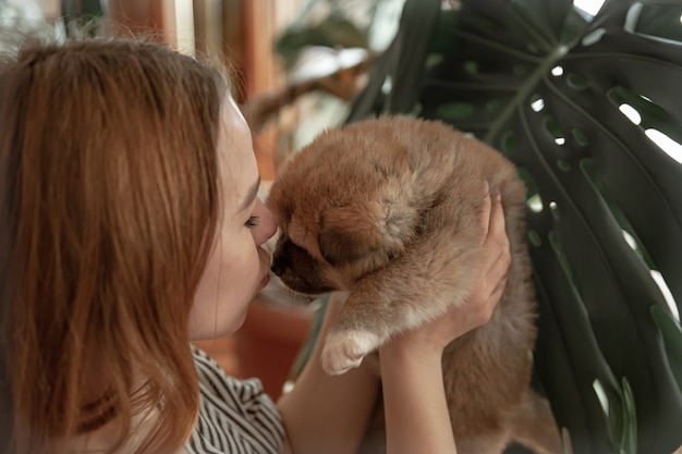 Das Mädchen hält einen kleinen flauschigen neugeborenen Welpen in den Armen.