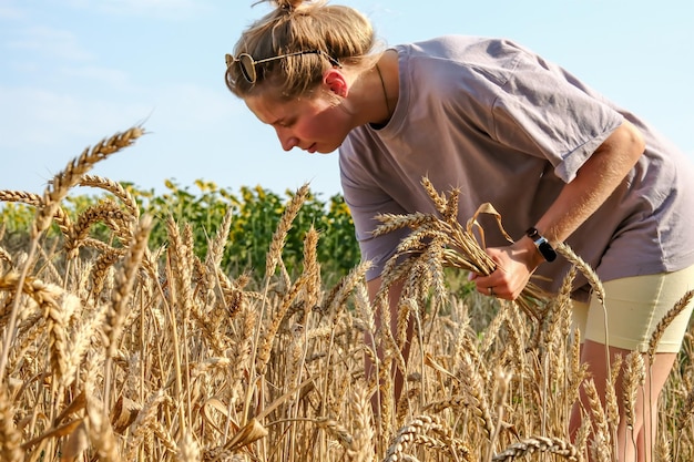 Das Mädchen sammelt Ähren Das Mädchen erntet Weizen Ein Weizenfeld