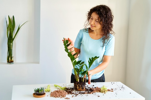 Das Mädchen wird eine Hausblume verpflanzen, weil sie zu groß geworden ist, um in einen Topf zu passen