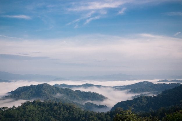 Das Meer des Nebels an Standpunkt Pha Noen Thung in Kaeng Krachan National Park