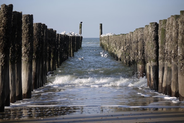 Das Meer gegen den klaren Himmel