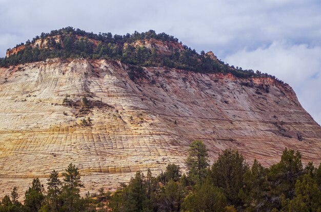 Das Muster in Stein von Schachbrett Mesa in Zion National Park