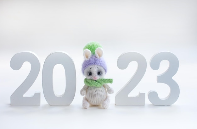 Das neue Jahr ist 2023 Kaninchen Gestricktes Kinderspielzeug ein Geschenk für einen Urlaub