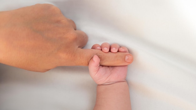 Das Neugeborene hält einen Finger der Mutter auf weißem Betthintergrund Ein Baby