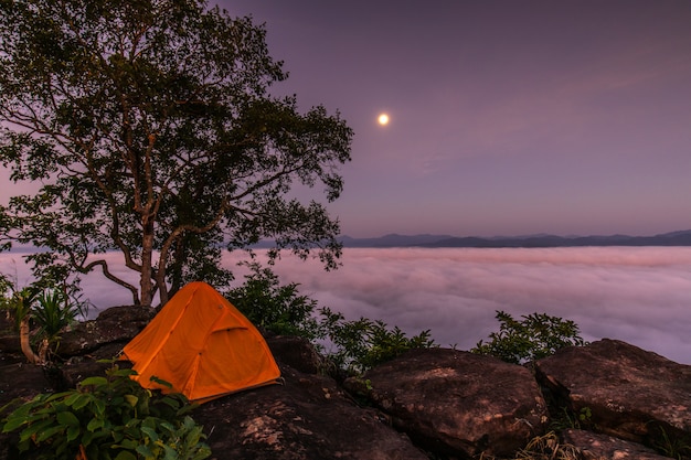 Das orange Zelt des Reisenden auf hohem Berg und Nebelmeer.