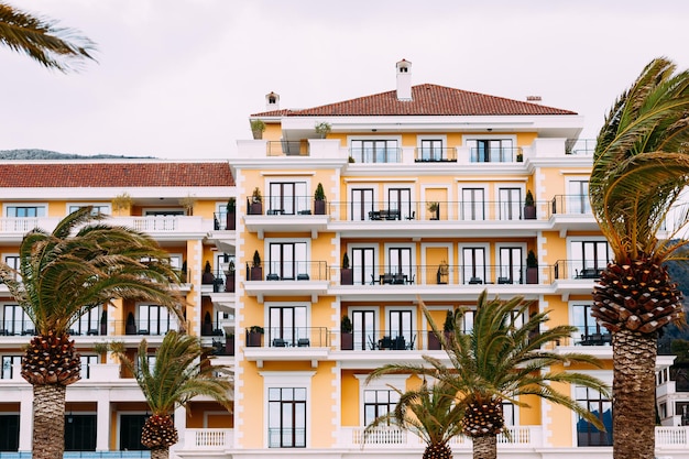 Das Regent Hotel liegt vor einer Kulisse von Palmen in Porto montenegro