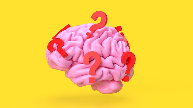 Das rosafarbene Gehirn und das rote Fragezeichen für sci- oder Bildungskonzept 3D-Rendering
