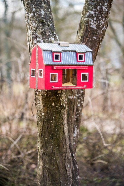 Das rote Vogelhaus auf einem Baum im Frühlingswald