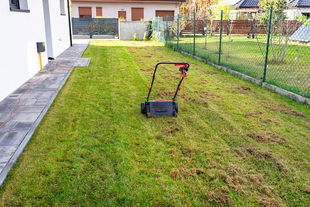 Foto das schärfen des rasens vor der wintersaison mit einem elektrischen schärfer