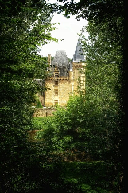 Foto das schloss durch das üppige laub