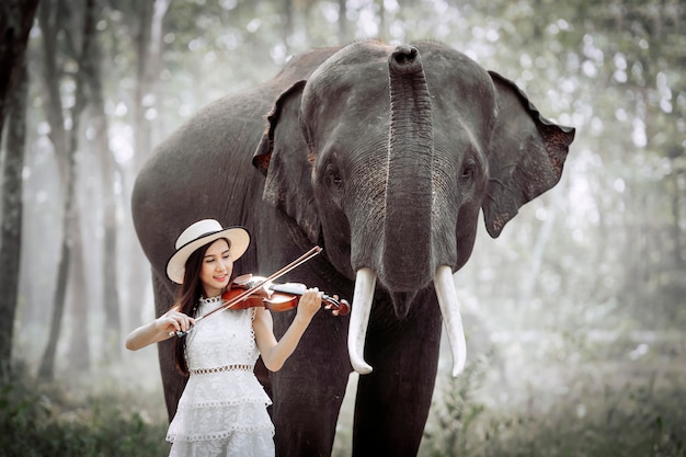 Das schöne Mädchen spielt Geige, damit der Elefant zuhört.