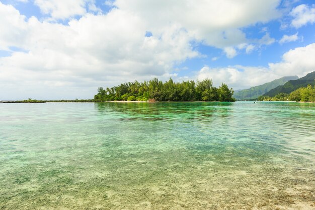 Das schöne Meer und kleine Insel in der Nähe von Moorae Island auf Tahiti